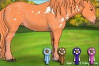 Horse Color:Watercolor White Spotted Liver Chestnut 