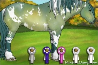 Horse Color:Watercolor White Spotted Buckskin 