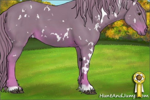 Horse Color:Watercolor White Spotted Chestnut 