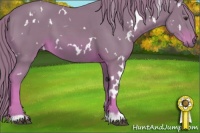 Horse Color:Watercolor White Spotted Chestnut