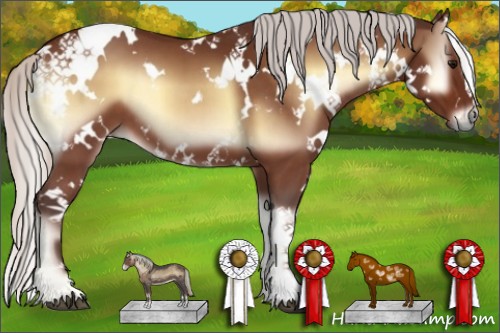 Horse Color:White Spotted Silver Brown Onyx 