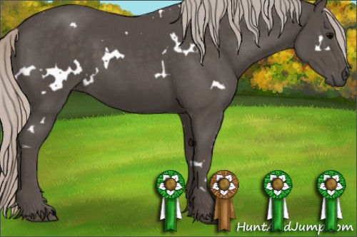 Horse Color:White Spotted Silver Black 