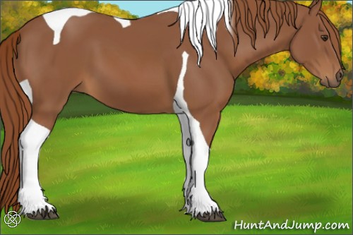 Horse Color:Chestnut Tobiano 