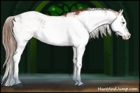 Horse Color:Chestnut Sabino Splash