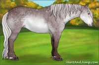 Horse Color:Chocolate Silver Brown Chinchilla 
