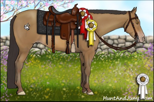 Horse Color:Sable Champagne 