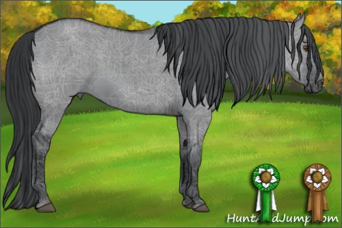 Horse Color:Grullo Chinchilla Brindle 