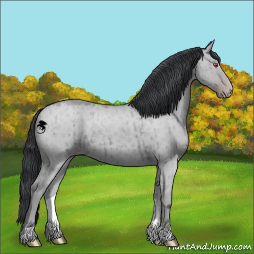 Horse Color:Classic Champagne Chinchilla Dun Brindle 