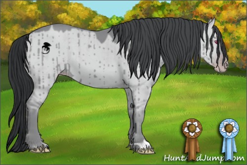 Horse Color:Classic Champagne Chinchilla Dun