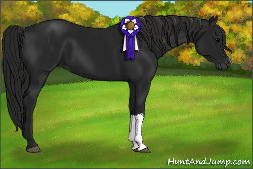 Horse Color:Gray Black 