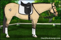 Horse Color:Bay Dun