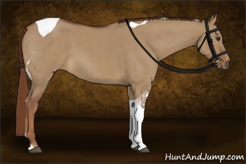 Horse Color:Red Dun Roan Tobiano 
