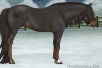 Horse Color:Liver Chestnut Sabino