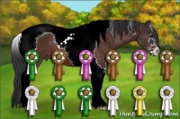 Horse Color:Brown Sabino Tobiano
