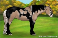 Horse Color:Black Pearl Sabino Tobiano