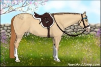 Horse Color:Gold Champagne Dun