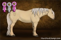 Horse Color:Palomino Dun