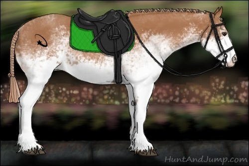 Horse Color:White Spotted Chestnut 