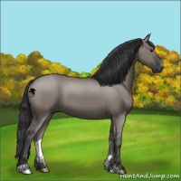 Horse Color:Grullo Sabino