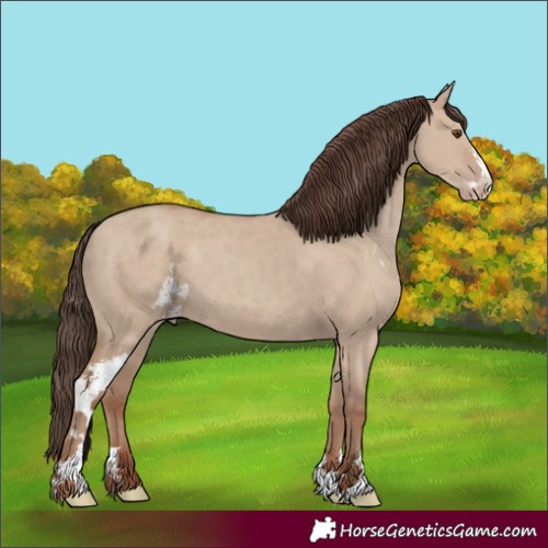 Horse Color:Classic Champagne Dun Sabino