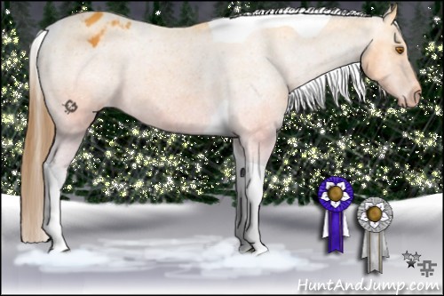 Horse Color:Buckskin Tobiano Varnish