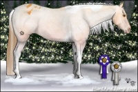 Horse Color:Buckskin Tobiano Varnish