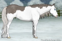 Horse Color:Silver Blue Roan Splash 