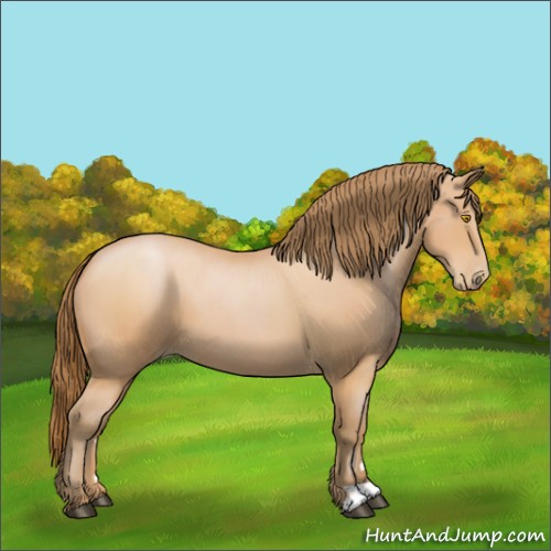 Horse Color:Bay Roan Pearl 
