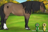 Horse Color:Brown Dun Sabino