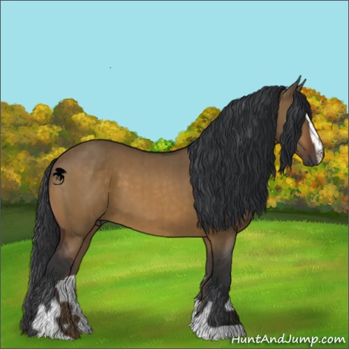 Horse Color:Brown Dun Sabino Brindle 