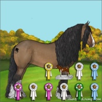 Horse Color:Brown Dun Sabino 