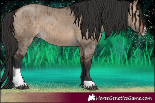 Horse Color:Brown Dun Sabino Brindle 