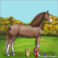 Horse Color:Chestnut Sabino Splash