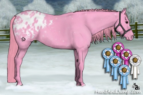 Horse Color:Watercolor Smoky Blue Roan Appaloosa 