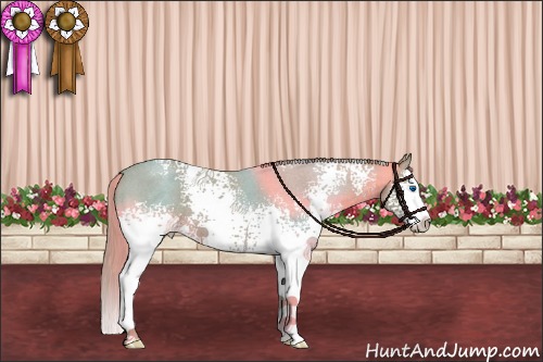 Horse Color:Watercolor White Spotted Red Roan Splash