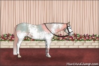 Horse Color:Watercolor White Spotted Red Roan Splash