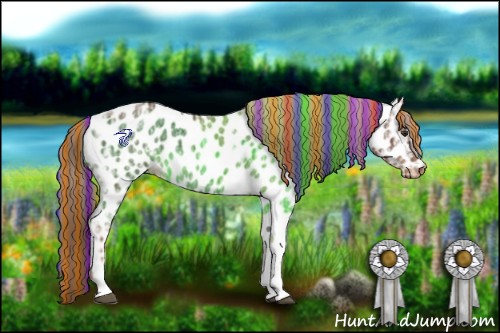 Horse Color:Painted White Spotted Chestnut Ice Appaloosa 