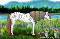 Horse Color:Painted White Spotted Chestnut Ice Appaloosa 
