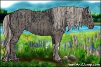 Horse Color:Black and Silver Black