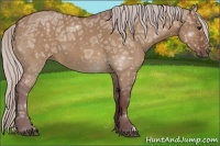 Horse Color:Chocolate Silver Bay Ice Roan Dun