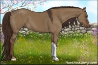 Horse Color:Liver Red Dun 
