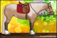 Horse Color:Silver Bay Dun Tobiano Rabicano