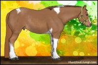 Horse Color:Chestnut Sabino Tobiano Rabicano 