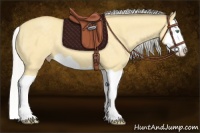 Horse Color:Silver Amber Cream Champagne Dun Splash