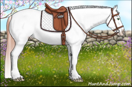 Horse Color:Amber Champagne Tobiano Varnish