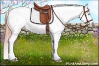Horse Color:Amber Champagne Tobiano Varnish