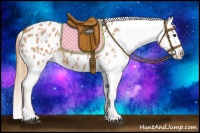 Horse Color:Red Roan Tobiano Appaloosa Rabicano