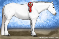 Horse Color:Gray Red Dun Sabino Tobiano Snowcap 