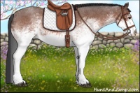 Horse Color:White Spotted Brown Roan Rabicano 