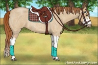 Horse Color:Red Dun Roan Splash Frame Rabicano